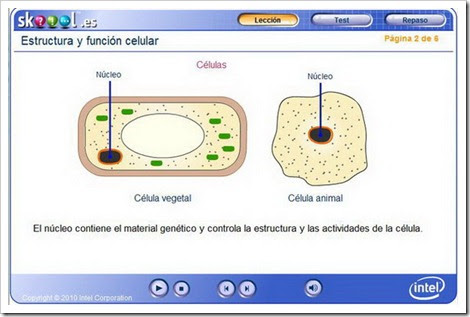 Estructura y función celular
