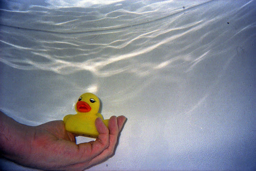 drowning duck by pho-Tony