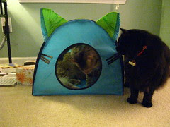 Jasper and Maggie both in the tent