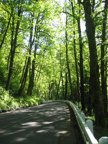 Scenic Highway