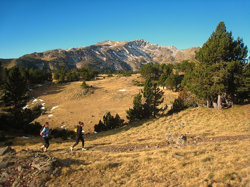 Up in the alpine