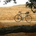 trail bike