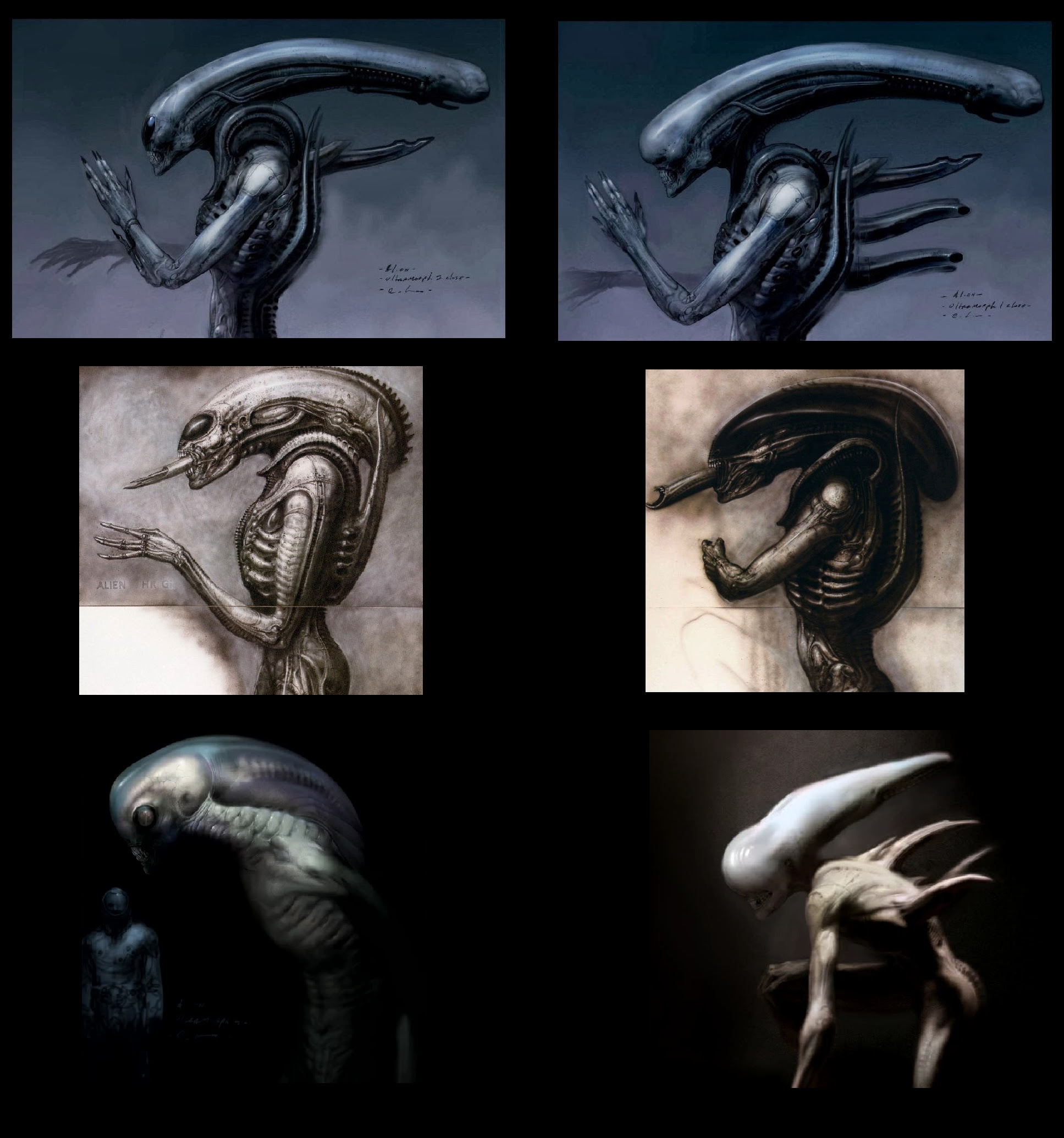 Xenomorph size comparison