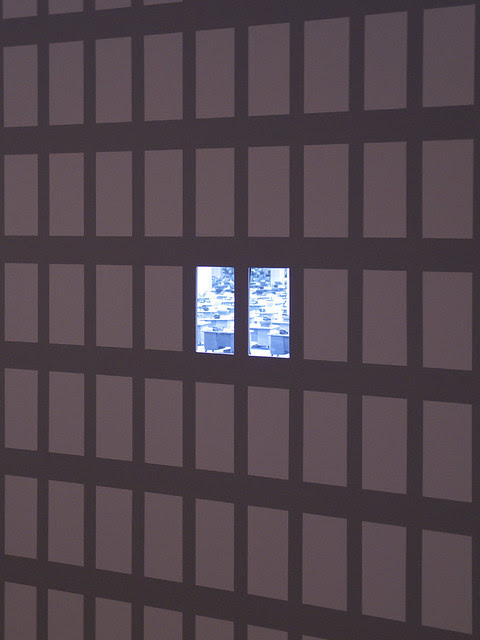 Consolidated Life by David Lawrey and Jaki Middleton, 2010