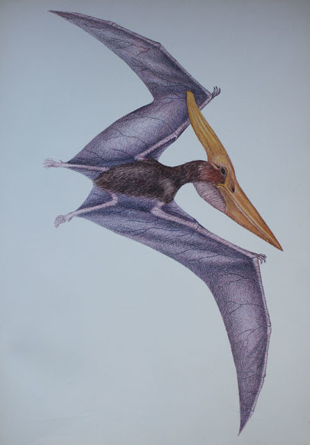 RIO_1974_Pteranodon