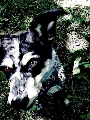 Dirty boy