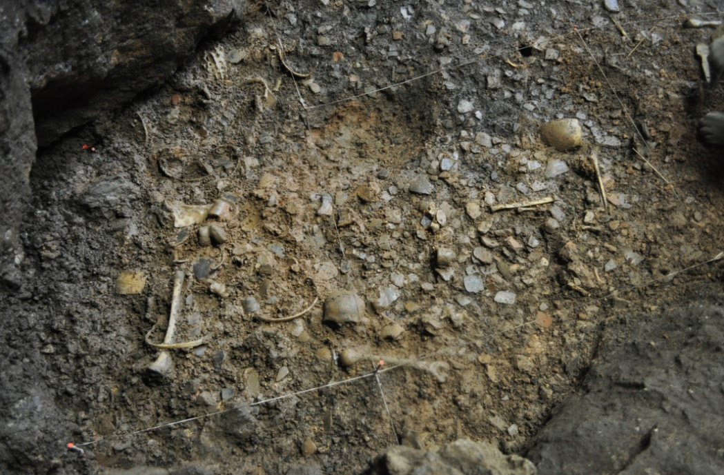 Restos humanos entre el pavimento de cerámicas de la primera ocupación de la cueva de Els Trocs. Foto: Dicyt.