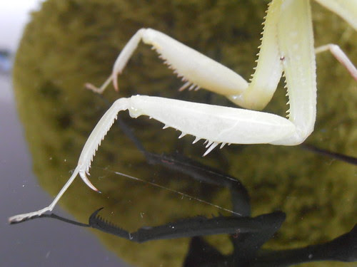 P3300350