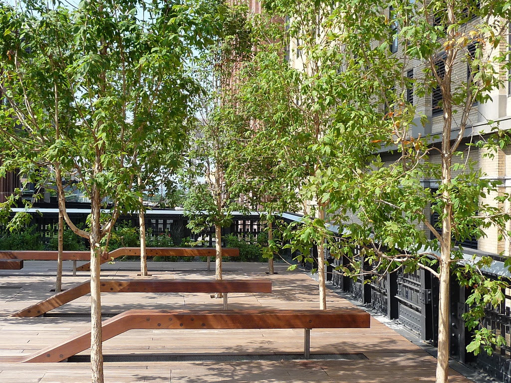 Photo of trees and benches along the High Line
