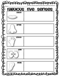 five sense worksheet new 418 worksheets on five senses