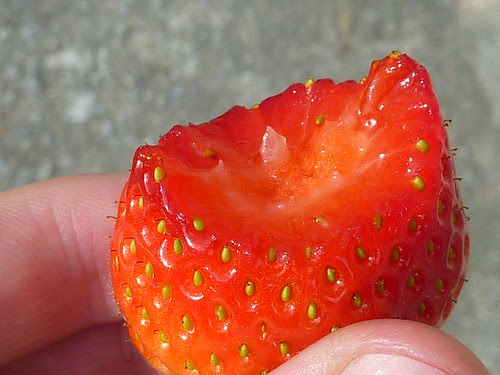P1120936