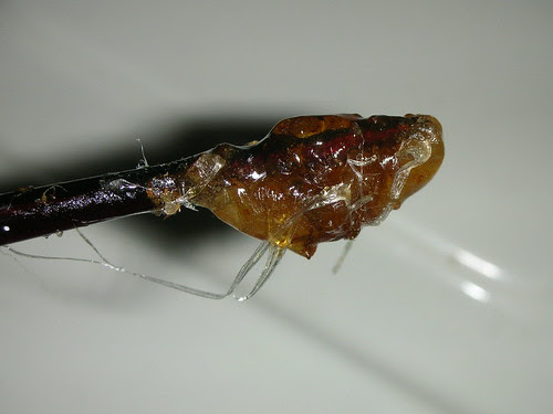 DSCN3693.JPG