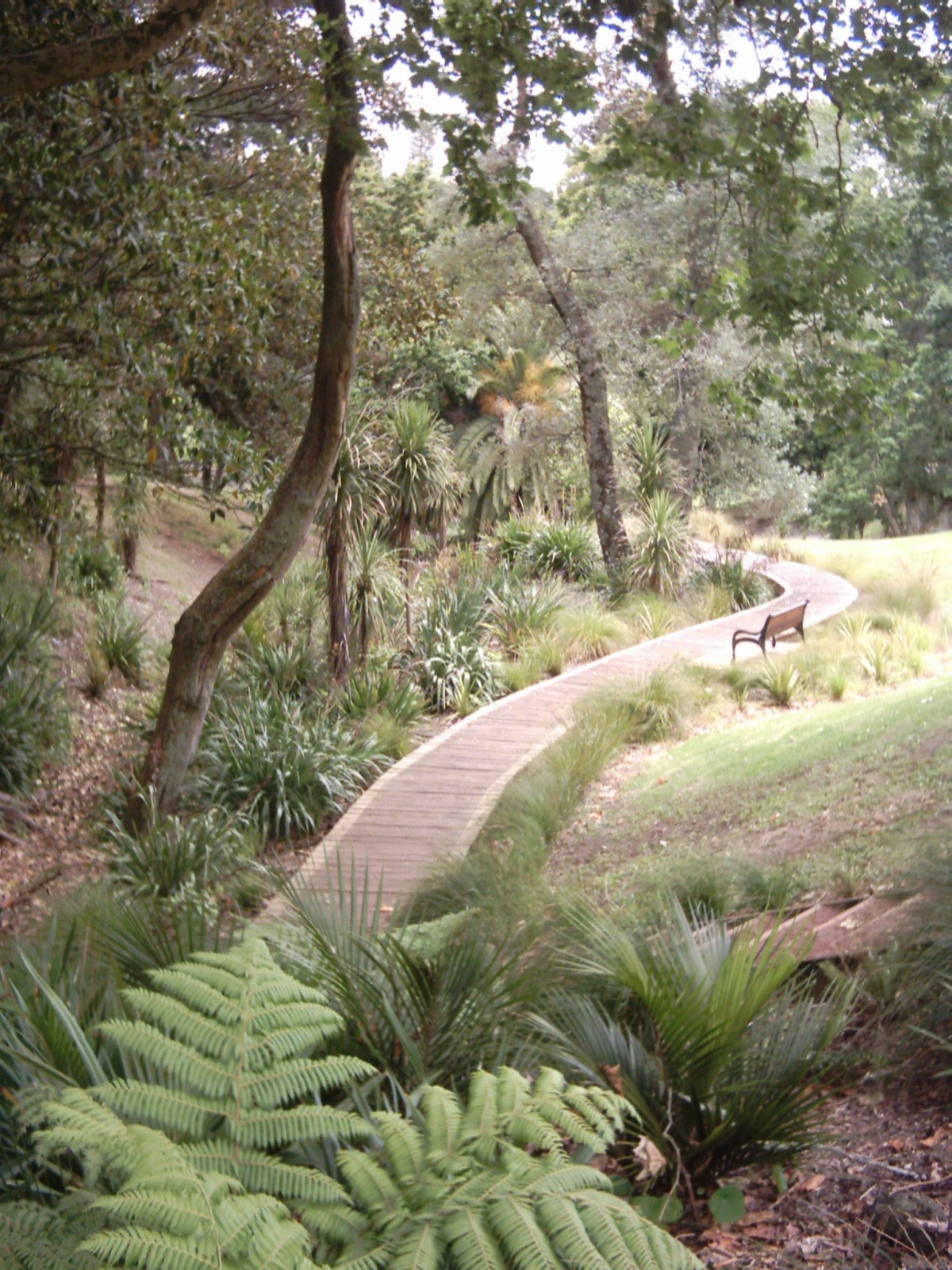 http://upload.wikimedia.org/wikipedia/commons/4/49/Western_Park_Auckland.jpg