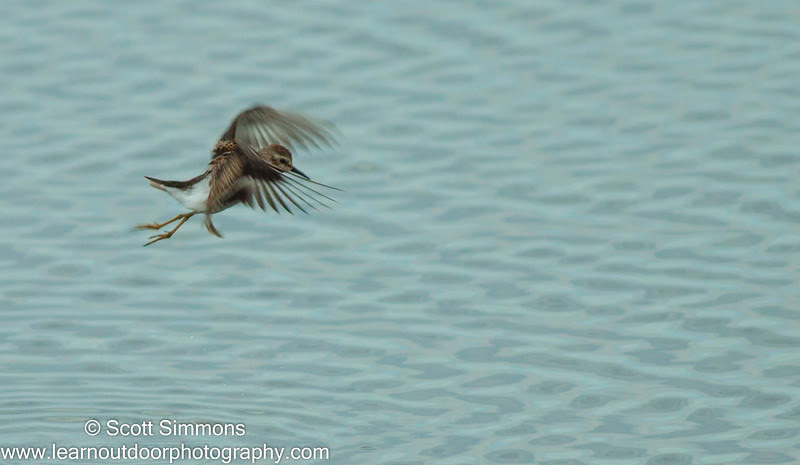 Photo & Video Sharing by SmugMug Photo & Video Sharing by SmugMug