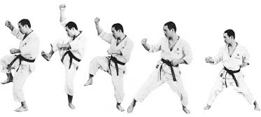 Techniques et Definitions Karate : Otoshi - Descendant