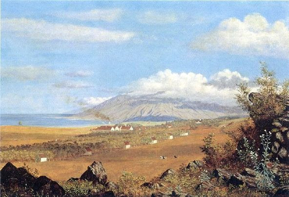 Rose Ranch, Ulupalakua, On The Slopes Of Haleakala, Maui
