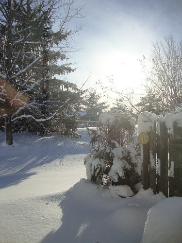 2/11/10 before going to work