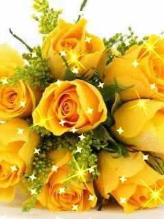 Желтые розы.