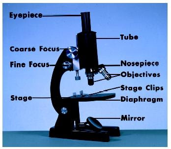 Image result for a light microscope
