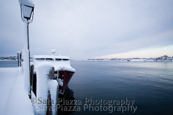 Edgartown News, spring snow, sara piazza photography