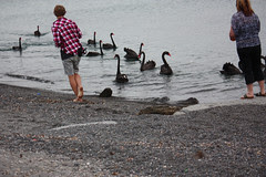 IMG_8553
