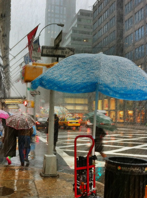 Storm Scene: the Nor'easter in Manhattan