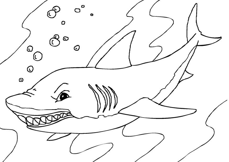 free printable shark coloring pages for kids  coloring pages