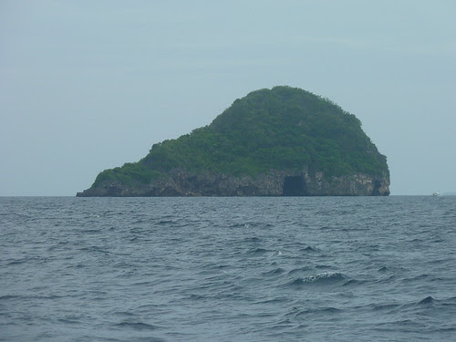 P1130989