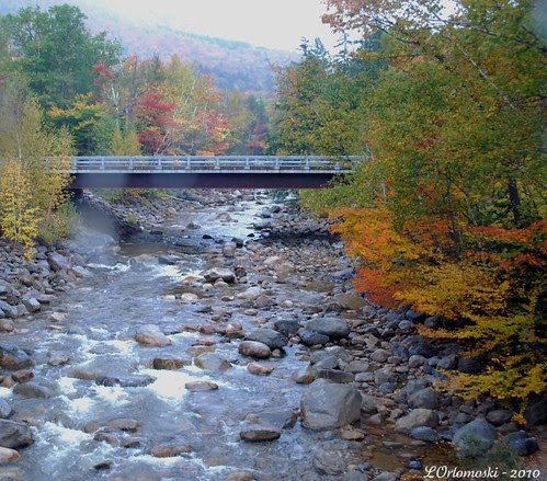 New Hampshire Stream