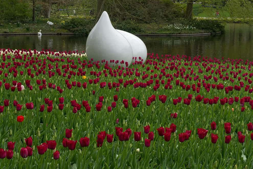 Μάιος 2013 στο Keukenhof Μάιος 2013 στο Keukenhof, τουλίπες, νερό, πάπιες