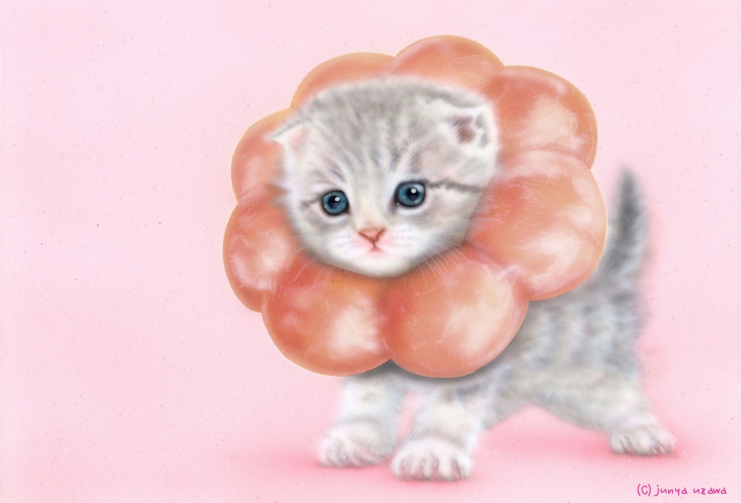 0以上 猫 イラスト 壁紙 無料の印刷可能なイラスト素材