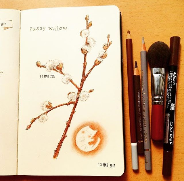 新鮮な猫柳 花 言葉 美しい花の画像