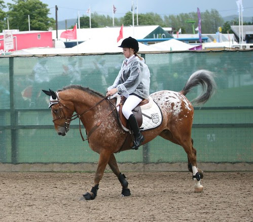 Showjumping