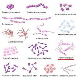 H Pylori infection Symptoms