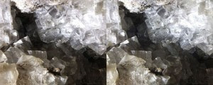 DSCF9117