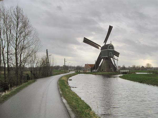 Images and Places, Pictures and Info: netherlands people