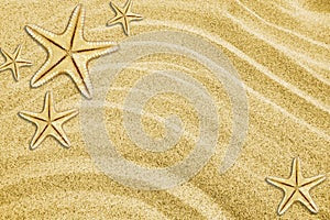 Starfishes on beach sand