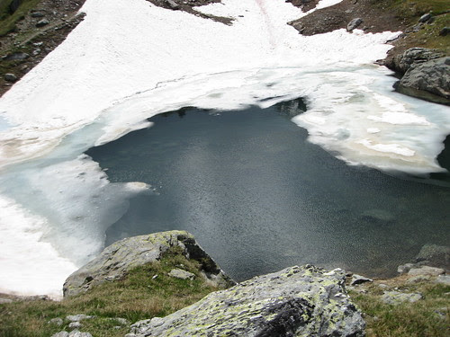 IMG_4544.JPG
