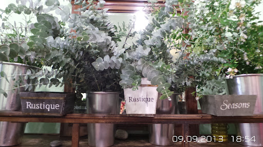 La casa de las plantas