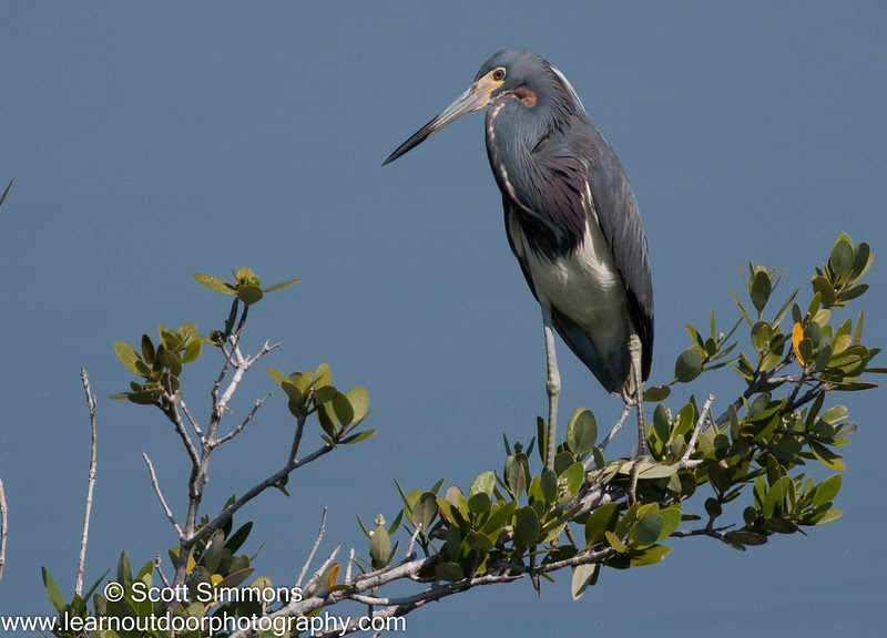 Photo & Video Sharing by SmugMug Photo & Video Sharing by SmugMug