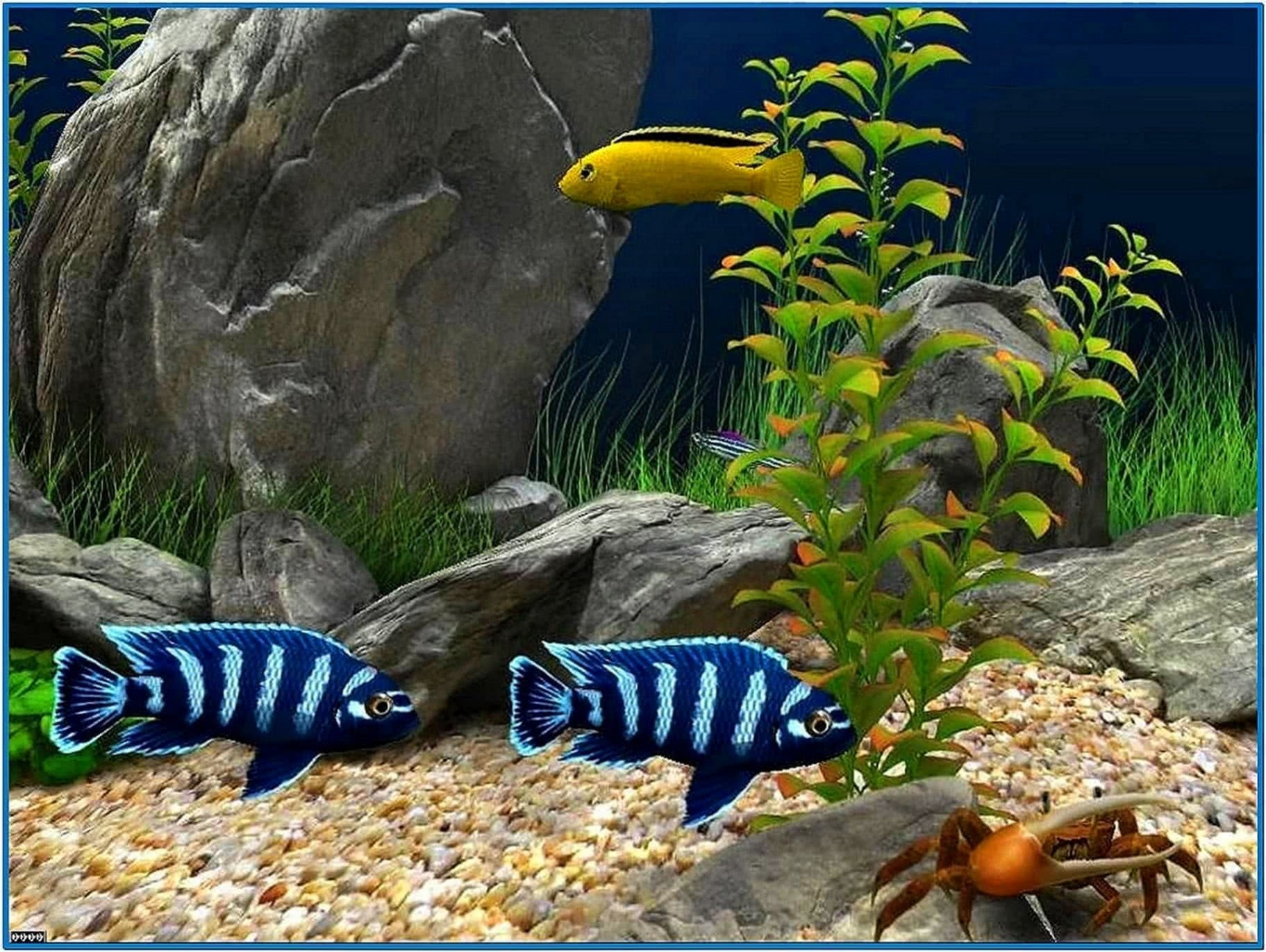 Download Screensaver Aquarium 3d Gratis Image Num 99