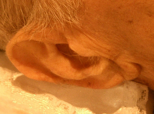 ear1