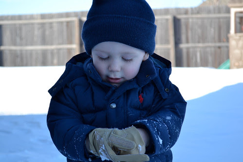SnowDay-5