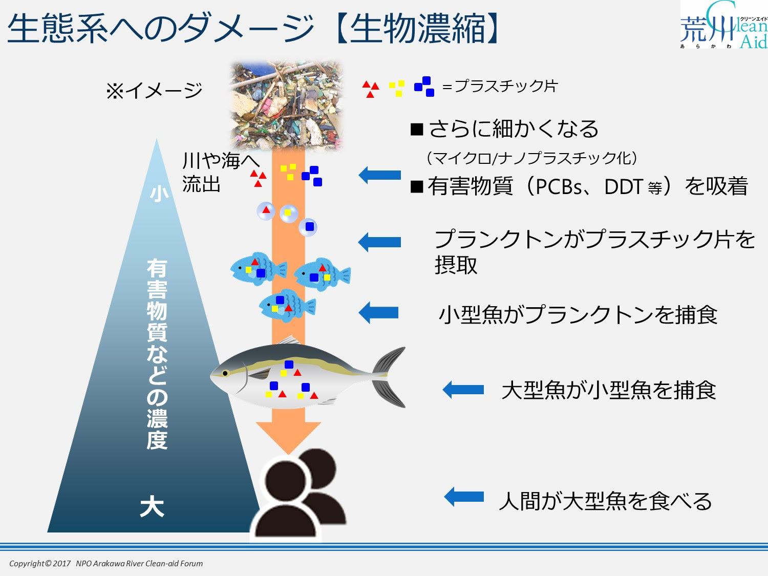 美しい花の画像 綺麗なイラスト マイクロ プラスチック