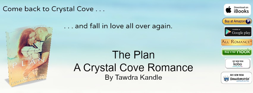 The Plan Banner