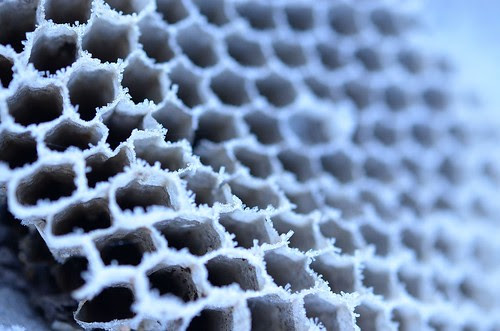 frosty comb_128