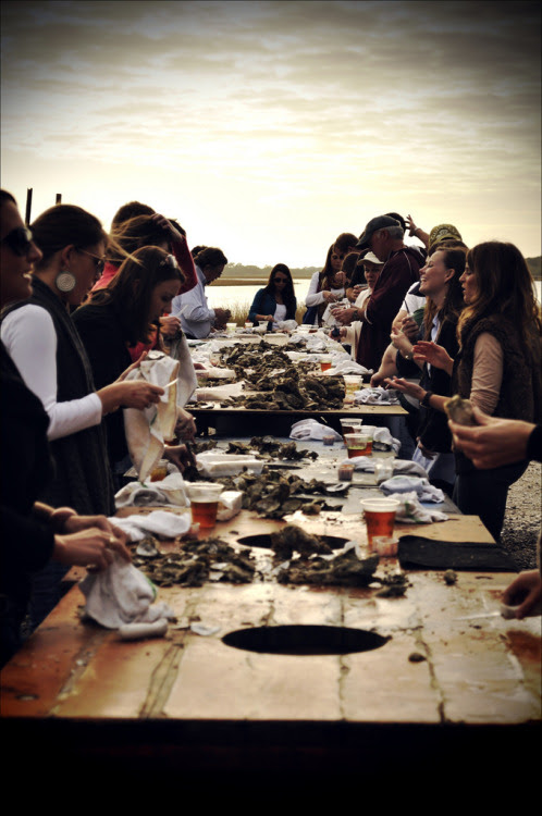 cvilletochucktown:
Lowcountry Oyster Roasts. Good living.