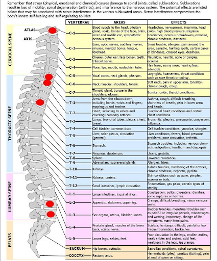 Spine And Nerve Chart Nerve Chart Chiropractor In Sacramento Ca The Healing Touch Chiropractic