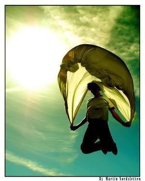 FREEDOM