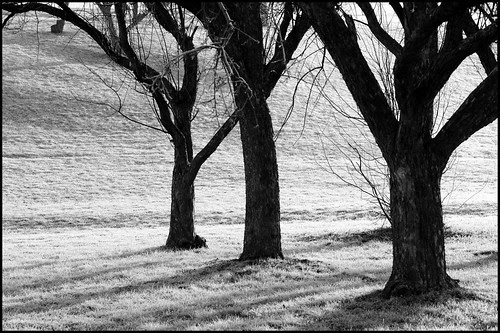 frosty sunrise 5